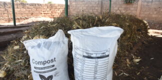 Production de bio-intrants au Burkina Faso: la nécessité d’une homologation nationale