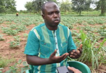 Entrepreneuriat agricole : Richard Moné ou l’agro entrepreneure écolo-intelligent