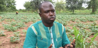 Entrepreneuriat agricole : Richard Moné ou l’agro entrepreneure écolo-intelligent