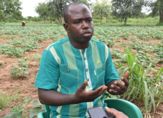 Entrepreneuriat agricole : Richard Moné ou l’agro entrepreneure écolo-intelligent