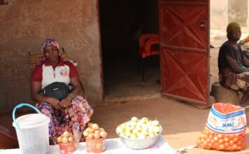 Activités génératrices de revenus: des femmes handicapées forcent l’admiration à Douna