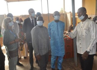 Développement de la filière mangue: le projet Green Mango officiellement lancé