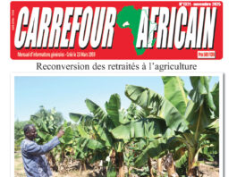 Une Carrefour africain n°1321- novembre 2025