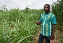 Entrepreneuriat agricole: Richard Moné ou l’agro entrepreneure écolo-intelligent