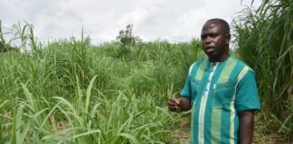 Entrepreneuriat agricole: Richard Moné ou l’agro entrepreneure écolo-intelligent