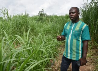 Entrepreneuriat agricole: Richard Moné ou l’agro entrepreneure écolo-intelligent