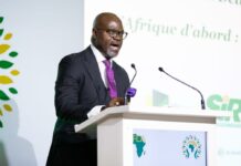 Énergie Bancable : Pourquoi le Secteur Aval de l’Afrique Est la Prochaine Frontière Mondiale de l’Investissement