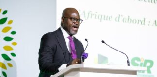 Énergie Bancable : Pourquoi le Secteur Aval de l’Afrique Est la Prochaine Frontière Mondiale de l’Investissement