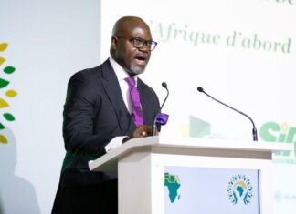 Énergie Bancable : Pourquoi le Secteur Aval de l’Afrique Est la Prochaine Frontière Mondiale de l’Investissement