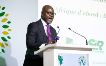 Énergie Bancable : Pourquoi le Secteur Aval de l’Afrique Est la Prochaine Frontière Mondiale de l’Investissement