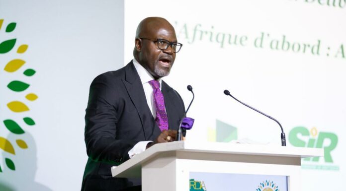 Énergie Bancable : Pourquoi le Secteur Aval de l’Afrique Est la Prochaine Frontière Mondiale de l’Investissement