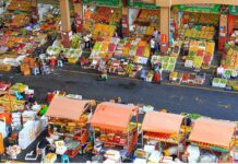 Zone de libre-échange de Hainan L’agriculture tropicale de haute qualité, une industrie charnière