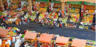 Zone de libre-échange de Hainan L’agriculture tropicale de haute qualité, une industrie charnière