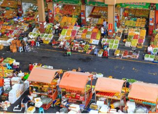 Zone de libre-échange de Hainan L’agriculture tropicale de haute qualité, une industrie charnière