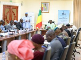 AES: réunion de pilotage du comité national