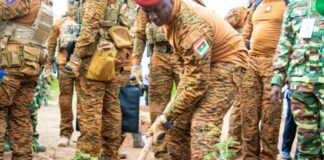 Rétro/ Campagne nationale de reforestation 2025: des bosquets pour promouvoir les plantes médicinales