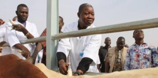 Offensive agropastorale et halieutique: le gouverneur de Yaadga s’assure de l’effectivité de la campagne de vaccination animale