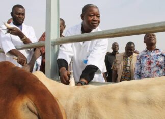 Offensive agropastorale et halieutique: le gouverneur de Yaadga s’assure de l’effectivité de la campagne de vaccination animale
