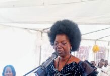 Formation professionnelle : le Centre Les leaders de demain ouvre ses portes