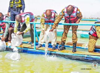 Barrage de Soum: un projet de pisciculture pour une retraite digne des militaires lancé