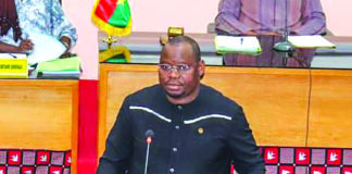 Assemblée législative de Transition : la révision de la Constitution actée