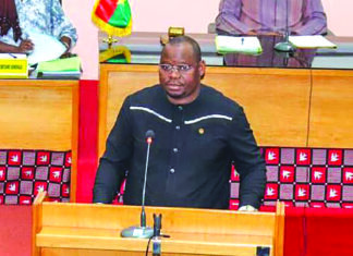 Assemblée législative de Transition : la révision de la Constitution actée