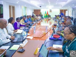 Burkina Faso: Dissolution des partis et formations politiques