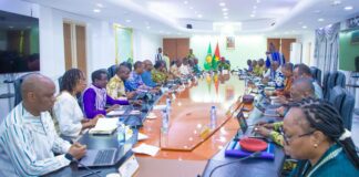 Burkina Faso: Dissolution des partis et formations politiques