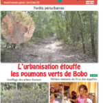 Une Carrefour africain n°1323- janvier 2026