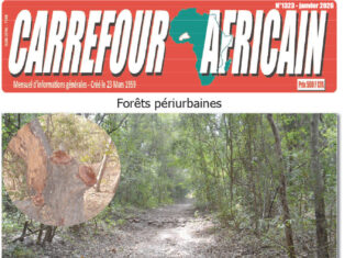 Une Carrefour africain n°1323- janvier 2026