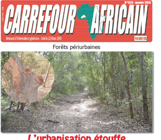 Une Carrefour africain n°1323- janvier 2026