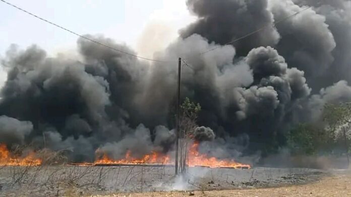 WhatsApp Image 2026-01-26 at 21.15.58(2)