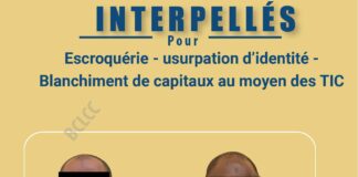 Lutte contre la cybercriminalité : Deux (02) individus, dont un repris de justice interpellés
