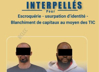 Lutte contre la cybercriminalité : Deux (02) individus, dont un repris de justice interpellés