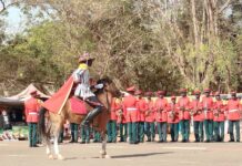 Cérémonial militaire: deux tableaux en l’honneur du père de la Révolution