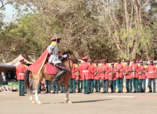 Cérémonial militaire: deux tableaux en l’honneur du père de la Révolution