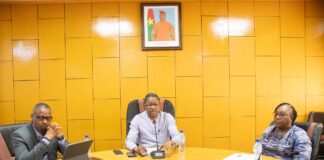 Contribution de la diaspora au développement: « Diaspora Bond», un nouvel outil de mobilisation des ressources