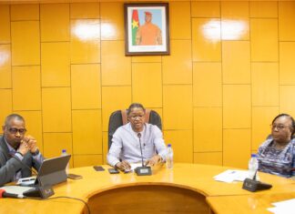 Contribution de la diaspora au développement: « Diaspora Bond», un nouvel outil de mobilisation des ressources