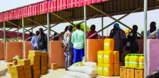 Faso Yaar à Manga: Un espoir pour les populations