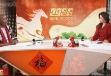 Célébration du Nouvel An chinois : une passerelle culturelle entre la Chine et l’Afrique