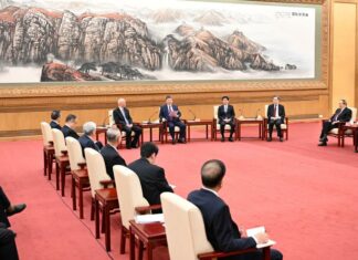 Chine : Xi Jinping adresse ses vœux de la Fête du Printemps aux personnalités non membres du PCC