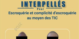 Lutte contre la cybercriminalité : Un groupe de faux démarcheurs interpellés pour des faits d’escroquerie via les TIC !