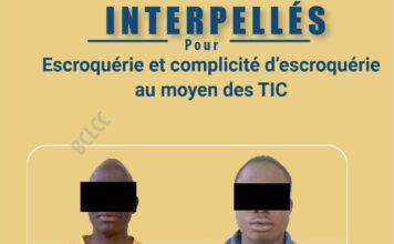 Lutte contre la cybercriminalité : Un groupe de faux démarcheurs interpellés pour des faits d’escroquerie via les TIC !