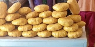 Lutte contre le trafic de stupéfiants : La Police Nationale saisit près de 70 kg de drogue à Bobo-Dioulasso.