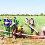 Reconquête du territoire : des PDI retournées sur le front de la souveraineté alimentaire dans les Koulsé