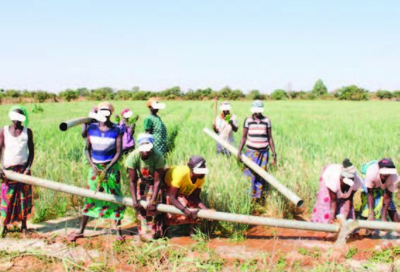 Reconquête du territoire : des PDI retournées sur le front de la souveraineté alimentaire dans les Koulsé