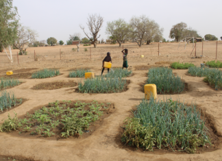 Commune de Béré : plusieurs écoles reçoivent des jardins scolaires