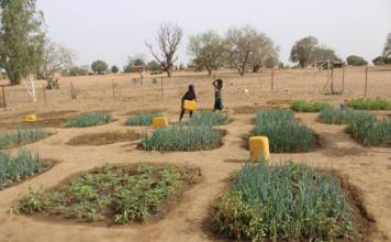 Commune de Béré : plusieurs écoles reçoivent des jardins scolaires