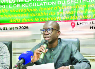 Régulation du secteur de l’énergie: un outil d’adaptation aux exigences des mutations opérationnalisé