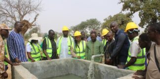 Autonomisation des femmes : Un périmètre maraîcher pour la Coopérative Nabonswendé de Poedogo